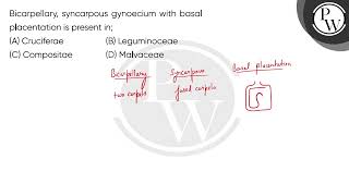 Bicarpellary syncarpous gynoecium with basal placentation is present in [upl. by Nuawad]