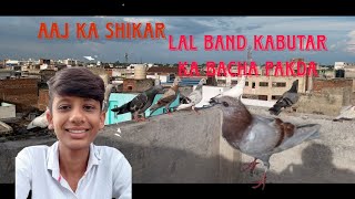 Aaj ka shikar😜lal band kabutar👀agra ki kabutarbazzi pigeon kabutar kabootar video birds [upl. by Adeuga43]