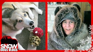 TWO BALLS and EPIC SPIRITHOODS BLANKET [upl. by Bedelia]