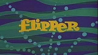 Flipper Intro [upl. by Bui]