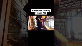 What does “tubing “ a calf mean [upl. by Duyne]