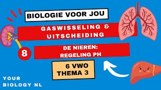 6 vwo  Gaswisseling amp Uitscheiding  8  De nieren regeling pH [upl. by Alvarez]