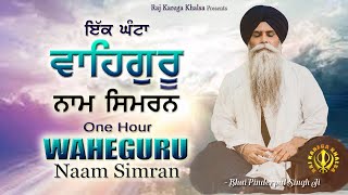 1 Hour  WaheGuru Naam Simran With Bhai Pinderpal Singh Ji  Satnam Waheguru Jaap  Daily Nitnem [upl. by Tenaej480]