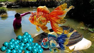 😱😱The giant clams guarded by goldfish contain precious and beautiful pearls which are intoxicating [upl. by Demaggio459]