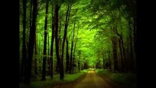 Aron Wright  In the Woods «Кухня» OST [upl. by Lalat182]