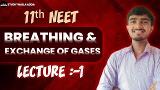 BREATHING AND EXCHANGE OF GASES  LECTURE1 CLASS 11TH BIOLOGY  AARAMBH SERIES [upl. by Laerdna508]