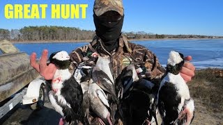 DUCK HUNTING BUFFLEHEAD  DIVER DUCKS [upl. by Elbam182]