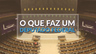 O QUE FAZ UM DEPUTADO FEDERAL [upl. by Butte]