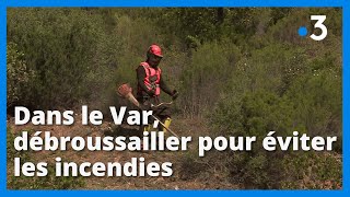 Dans le Var le débroussaillage a commencé pour réduire les incendies cet été [upl. by Scheider]