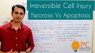 Irreversible Cell Injury or Cell Death Pathology  Necrosis Vs Apoptosis [upl. by Ifen149]