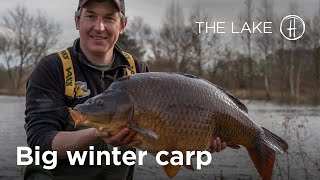 In search of BIG winter carp  quotTHE LAKEquot Episode 1 [upl. by Carrie480]