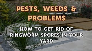 How to Get Rid of Ringworm Spores in Your Yard [upl. by Gintz]