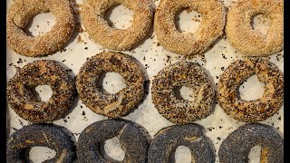 MONTREAL STYLE BAGELS  Easy Recipe and Instructions [upl. by Earized]