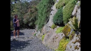 Cliffside gardening with Carol Ann Master Gardener [upl. by Nogaem602]