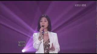 민해경  어느 소녀의 사랑이야기 amp 보고싶은 얼굴 2011 [upl. by Raeann]