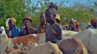 Ceremonia Hammer del salto toros Etiopia [upl. by Oibaf]