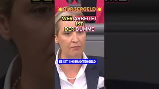 💥EKLAT💥 BÜRGERGELD komplett ZERLEGT 🔥 afd ampel aliceweidel politik bundestag spd scholz bsw [upl. by Aicele]