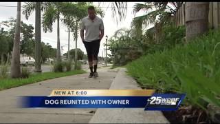 Dog stolen a year ago reunited with owner days before euthanization [upl. by Elodie]