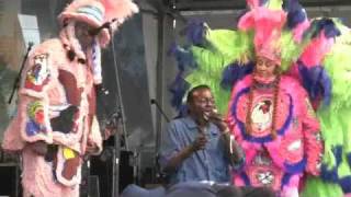 Big Chief Bo Dollis and the Wild Magnolias  Jazzfest 2010 [upl. by Larson]