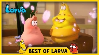 LARVA  BEST OF LARVA  Cartoons  Comics  LARVA 2017 WEEK 14 [upl. by Erehs]