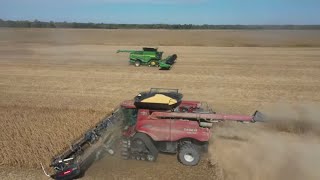 John Deere x9 1100 Vs Case Ih 9250 Combine Cutting Soybeans Season 4 Episode 34 [upl. by Curhan]