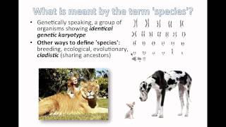 Species and Speciation IB Biology [upl. by Ycrep]