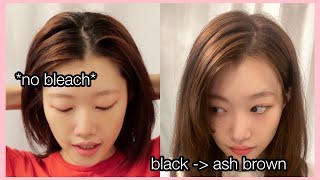 How to dye roots  from black to ash brown  no bleach [upl. by Ahsikram]