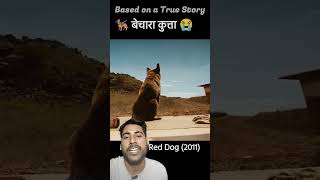 Wafadar kutta doglover moviemindexplain explainedinhind movieexplaination [upl. by Kus97]