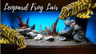 Leopard Frog Pleco Lair  Hardscape Only Build  L134 [upl. by Lesab]