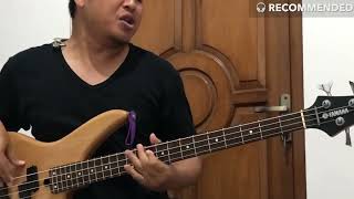 Muse  Won’t Stand Down Bass Cover  Main Bass Sambil Nyanyi 3 [upl. by Danie873]