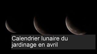 Calendrier lunaire du jardinage avril [upl. by Luht]