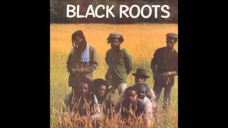 Black Roots  Black Roots full album [upl. by Tavi]