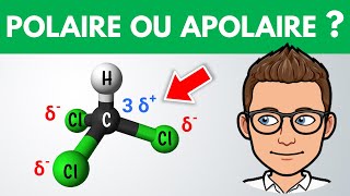 Molécule polaire ou apolaire  ✏️ Exercice  1ère  Physique Chimie [upl. by Aratal354]