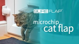 SureFlap Microchip Pet Door Wall Installation [upl. by Lindgren879]