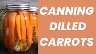 Canning Dilled Carrots  Canning Tutorials [upl. by Ishmael127]