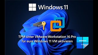 TPM unter VMware Workstation 16 Pro aktivieren [upl. by Ahtan]