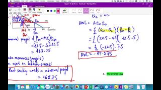 Rent Seeking Costs DWL Overall Loss  Monopoly Questions amp Answers [upl. by Bottali13]