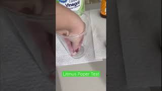 Litmus Paper Test of Vinegar [upl. by Ical]