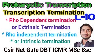 Prokaryotic transcriptionL10 mechanism of termination Rho Dependent amp Rho independent termination [upl. by Strage90]