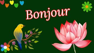 BONJOUR  Bonne Journée  🍀🌺🦜 [upl. by Lleuqram]