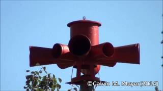 Wilkinson IN Sentry 10V Siren Test 101714 [upl. by Avner409]