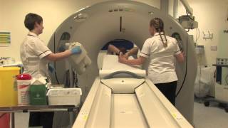 Having A CT Scan  Learning Disabilities Version [upl. by Rehpotsirk589]