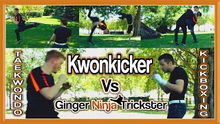 Taekwondo Vs Kickboxing  GNT Vs Kwonkicker Martial Arts Fight [upl. by Idnod429]