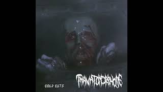 THANATOMORPHOSE GOREGRIND  Cold Cuts double EP 2024 [upl. by Aaron]