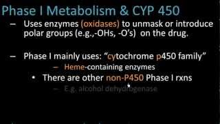 Phase I Metabolism  Pharmacology Lect 7 [upl. by Anihcak372]