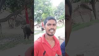 aaj jamane kisi ke liye gradn bhi l comedy funny jokes trendingshorts funnyshorts comedyfilms [upl. by Beltran]