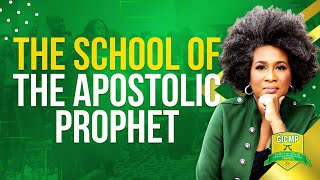 Whats An Apostolic Prophet [upl. by Eceinehs]