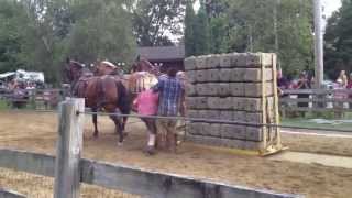 Stratham Fair 2013 Horse Pull [upl. by Donica536]