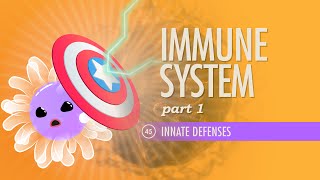 Immune System Part 1 Crash Course Anatomy amp Physiology 45 [upl. by Zeculon]