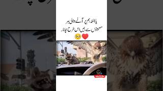 Musebat 🥺❤Islamic Quotes  Sunheri Alfaz  Sad status video  Sad poetry  Deep meaning shorts [upl. by Sussman33]